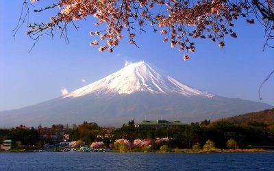 日本將分階段下調159個國家和地區(qū)旅行警告